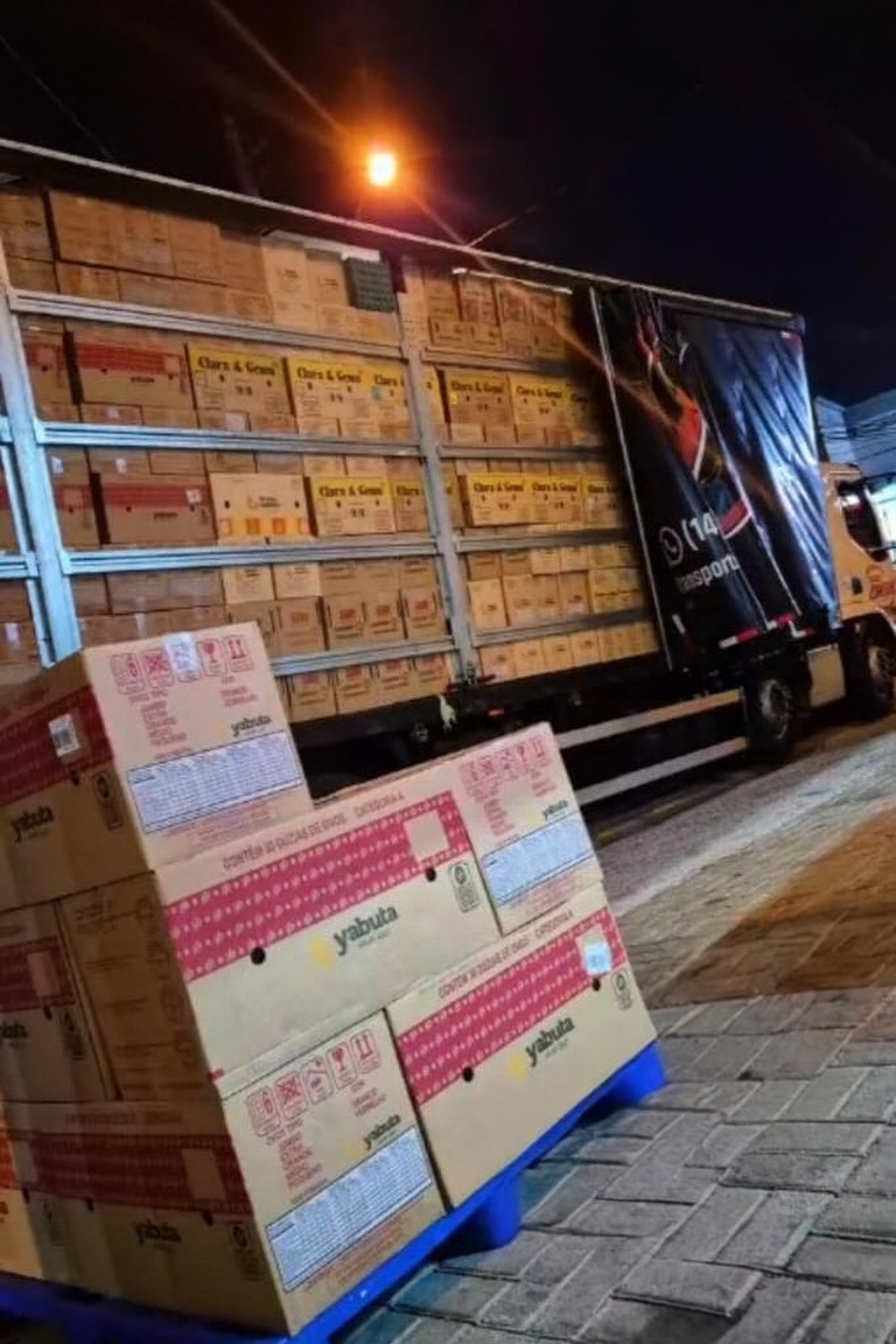 Ovos organizados em bandejas